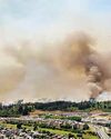 Why Chile’s wildfires are spreading faster, burning hotter Why Chile’s wildfires are spreading faster, burning hotter61