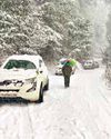 U'khand: Snowfall, rain after long wait brings cheer to farmers, horticulturists35