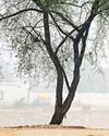 Millennium Post Delhi