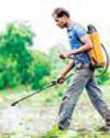 Only 86 pesticide formulations in 34 years: Parliamentary Committee raps IPFT72