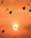 City's max temp settles at 30.7 deg C; AQI 'moderate' City's max temp settles at 30.7 deg C; AQI 'moderate'25