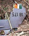 Two pilots killed in Su-30MKI fighter jet crash in Assam16