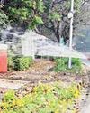 NDMC intensifies cleaning, dust control measures in Capital7