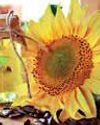 India's import of sunflower oil falls 51% in Feb80