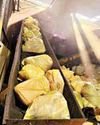MAJOR CRACKDOWN NCB destroys over 400 kg of narcotics worth Rs 212 cr38