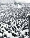 One Cohesive Hindu Society59
