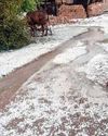 Fresh snowfall in Kashmir higher reaches while rains lash plains30