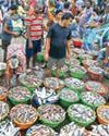 India's seafood exports: From growth to global competitiveness72