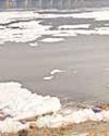 Yamuna pollution worsened in March: DPCC reports spike in faecal coliform & BOD levels10