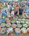 India's seafood exports hit record high in FY26: MPEDA69