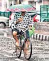Yellow alert for 2 days as IMD forecasts rain, gusty winds11
