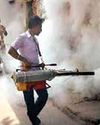 Delhi records 162 dengue, 42 malaria cases this year so far Delhi records 162 dengue, 42 malaria cases this year so far20