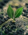 Green IT: How Businesses Can Achieve Sustainability Through Technology