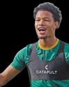 Soccer Laduma