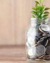 Frequentlyasked questions about saving8