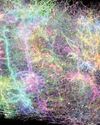 Scientists map part of a mouse’s brain that's so complex it looks like a galaxy Scientists map part of a mouse’s brain that's so complex it looks like a galaxy