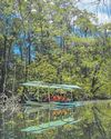 Palawan listed as world's best island to visit in 2025 Palawan listed as world's best island to visit in 2025