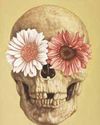 Beyond the bones39