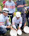 AboitizPower releases sea turtle hatchlings, highlights conservation efforts42