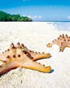 10 lesser-known destinations to visit in the Philippines39