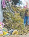 Searchers scour Texas flood debris for missing22