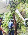4 hurt in Zambales Cessna plane crash20