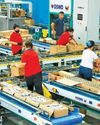 Gov't ready for 'Crising'1