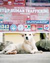 Manila Bulletin