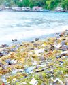Plastics pose environmental threats and risks to human health Plastics pose environmental threats and risks to human health43