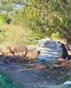 Forest dwellers cause concern7