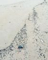 Concern over oil washing ashore7