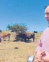 Steenhuisen on FMD, drought15
