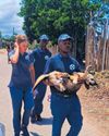 Garden Route SPCA takes animal welfare to the streets22