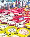 US tariffs to hit exports of Indian seafood US tariffs to hit exports of Indian seafood