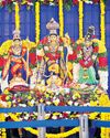 Celebrations on grand scale at Hare Krishna Temple Celebrations on grand scale at Hare Krishna Temple