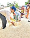 Medak Collector helps farmers clean paddy Medak Collector helps farmers clean paddy