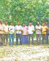 Heavy rain ravages standing crops Heavy rain ravages standing crops