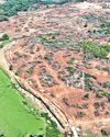 Kancha Gachibowli land deal raises red flags