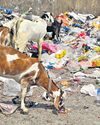 All possible measures being taken: GHMC All possible measures being taken: GHMC