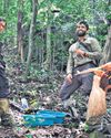 Western Ghats rich in flora, fauna Western Ghats rich in flora, fauna