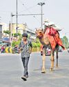 State sizzles as temperature soars