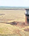 Peddavagu: Ryots stare at uncertainty