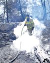 Wildfire rages across Israel, sparks emergency Wildfire rages across Israel, sparks emergency