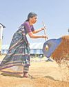 Crops in 9,638 acres damaged due to hailstorms in Siddipet