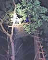 First-ever moonlight wildlife census in Kawal First-ever moonlight wildlife census in Kawal
