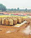 Rains ravage crops, farmers demand relief Rains ravage crops, farmers demand relief