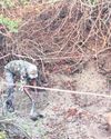 Officials clueless over identity of dead animal Officials clueless over identity of dead animal
