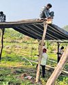 Protests erupt over delay in Kawal Tiger Reserve rehabilitation package28
