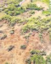 Revanth vows to reclaim Kancha land for IT Park24