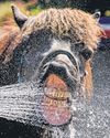 Record heat wave cooks Europe48